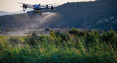 İzmir'de sivrisinek ile dronla mücadele