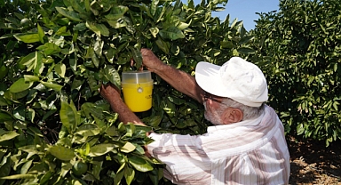Karaburun'da ihracatı kurtaran 'tuzak'!