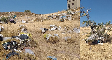 Ne dilek ağacı, ne gelinlik tarlası… Foça'da çöpten ağaçlar!