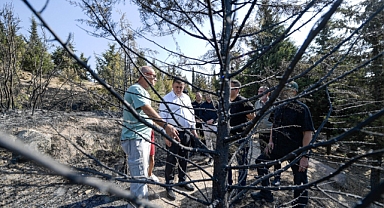 Yangın bölgesinde iyileştirme çalışmaları başlıyor!