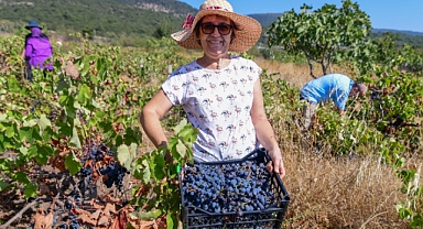 Bornova'da Avrupa Hareketlilik Haftası heyecanı