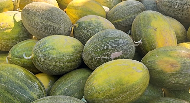 Kınık'ta kavun para etmiyor... Tarlada 3, markette 20 TL!