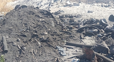 Şoke eden görüntüler… Resmen çevre katliamı!