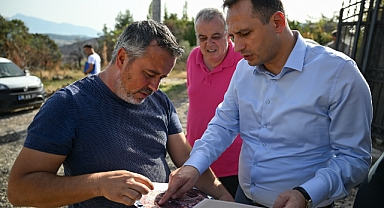 Bornova'da asfalt seferberliği