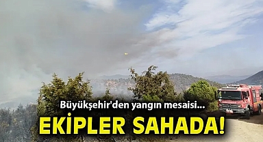 Büyükşehir'den yangın mesaisi... Ekipler sahada!