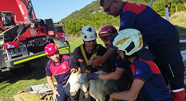 İzmir İtfaiyesi'nden yürekleri ısıtan kurtarma operasyonu