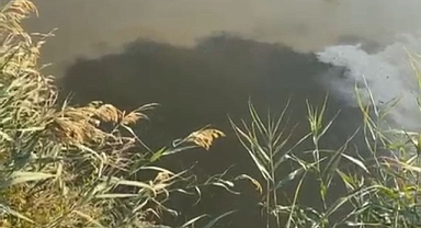 Ağıl Deresi'nde korkutan görüntü! Çiğli OSB'de doğa katliamı mı var?