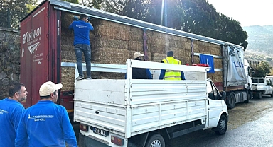 Büyükşehir'den yangın mağduru çiftçilere 225 ton yem desteği