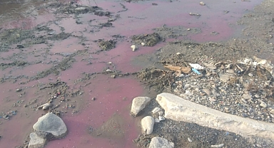 Belediye tesisinin hemen yanında… Bu dereye ne oldu?