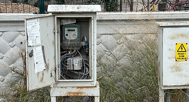 TEDAŞ bile güvende değil… Bu kadarına da pes!