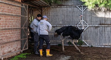 Doğal Yaşam Parkı'nda hedef 1 milyon ziyaretçi