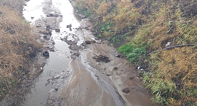 Foça'daki fabrika zehir saçıyor… Derelerin son hali yürek sızlattı!