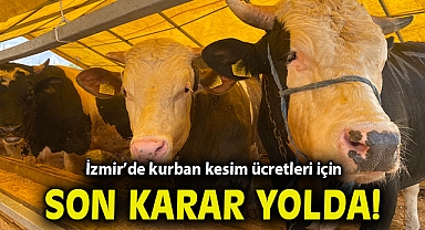 İzmir'de kurban kesim ücretleri için son karar yolda!