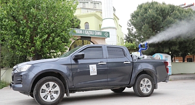 Bayraklı'da ilaçlama seferberliği!