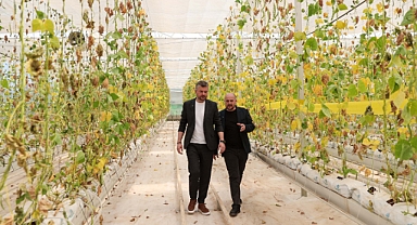 Buca Belediyesi'nin serasına 'tuzlu' saldırı