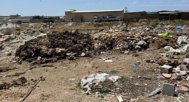 Bergama'da bayramda kötü koku isyanı... Vatandaşlar Başkan Çelik'e tepkili