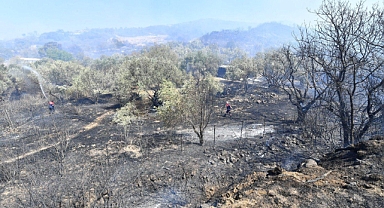 Büyükşehir'den yangınlar için acil eylem planı
