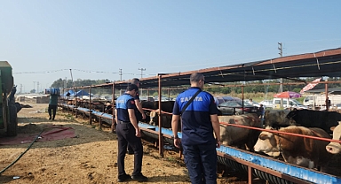 Çiğli'de kurban pazarlarına ve kesim noktalarına sıkı denetim