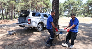 Buca Belediyesi'nden can dostları için hayati hamle