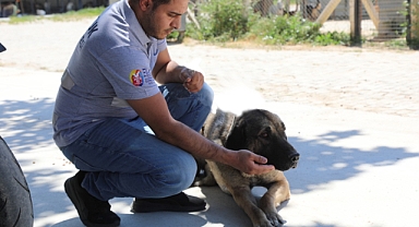 Efes Selçuk'ta 'Satın Alma Sahiplen' çağrısı!