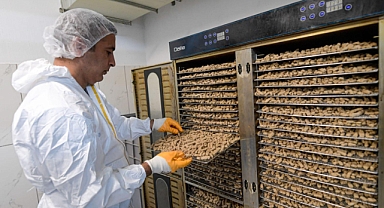 İzmir Büyükşehir Belediyesi can dostlar için mama üretiyor