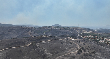 Seferihisar ve Menderes yangınlarının bilançosu ağır!