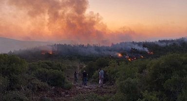 Urla’da yangın kontrol altına alındı