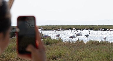 Flamingo Yolu turları başladı