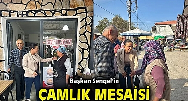 BAŞKAN SENGEL'İN ÇAMLIK MESAİSİ
