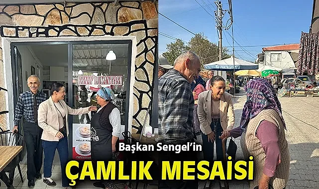 BAŞKAN SENGEL'İN ÇAMLIK MESAİSİ
