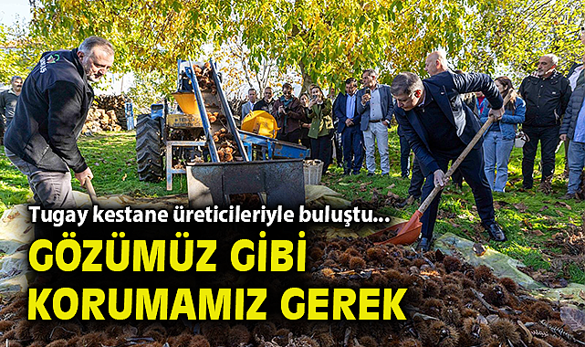 Başkan Tugay kestane üreticileriyle buluştu... Gözümüz gibi korumamız gerek!