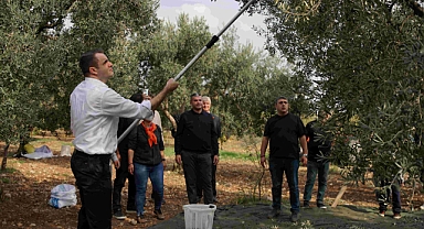 Çağatay GÜÇ: CHP İKTİDARIMIZDA ZEYTİNCİLİK HAK ETTİĞİ DEĞERİ GÖRECEK