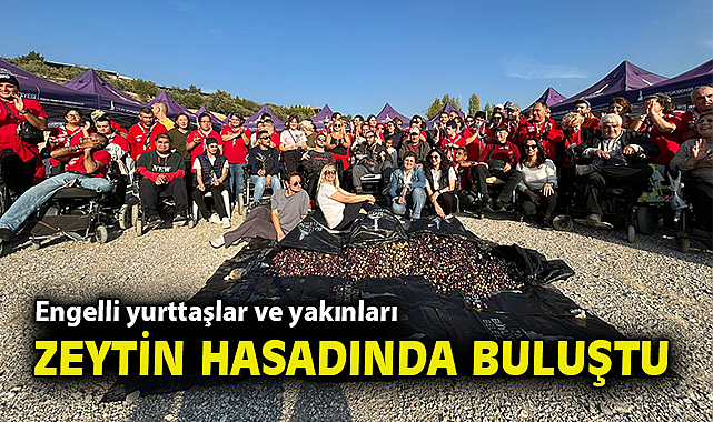 Engelli yurttaşlar ve yakınları zeytin hasadında buluştu