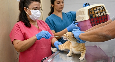 Eros Kedi Kliniği Bornova'da umut merkezi oldu