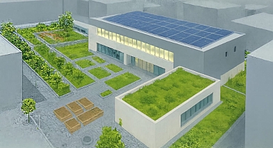 İzmir çatılarda yeşil devrimi başlatıyor