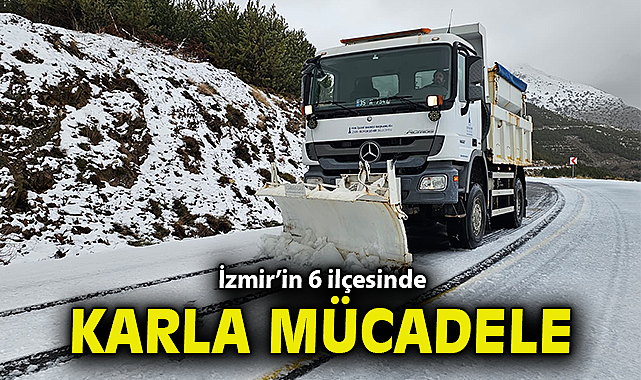 İzmir'in 6 ilçesinde karla mücadele