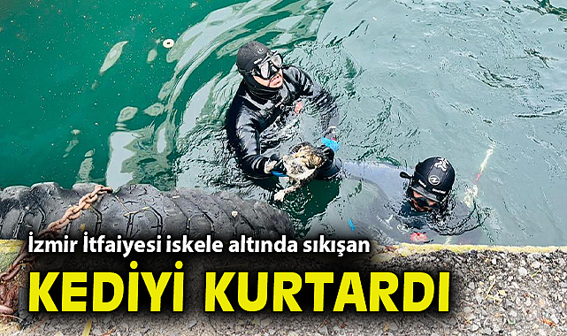 İzmir İtfaiyesi iskele altında sıkışan kediyi kurtardı