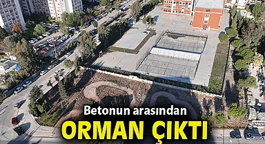 Betonun arasından orman çıktı