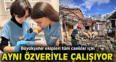Büyükşehir ekipleri tüm canlılar için aynı özveriyle çalışıyor