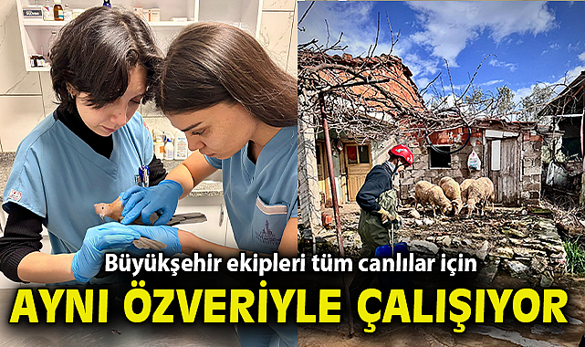 Büyükşehir ekipleri tüm canlılar için aynı özveriyle çalışıyor