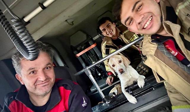 İzmir İtfaiyesi tüm canlıların imdadına yetişiyor