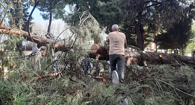 Fırtınadan etkilenen mezarlıklara hızlı müdahale