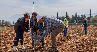 Kesilen cevizlerin yerine umut filizlendi