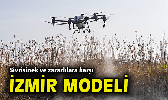 Sivrisinek ve zararlılara karşı İzmir modeli