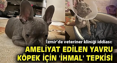 İzmir'de veteriner kliniği iddiası: Ameliyat edilen yavru köpek için 'ihmal' tepkisi