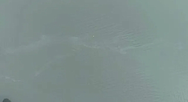 İzmir Körfezi'nde kirlilik alarmı: Aynı tehdit 11. kez görüldü