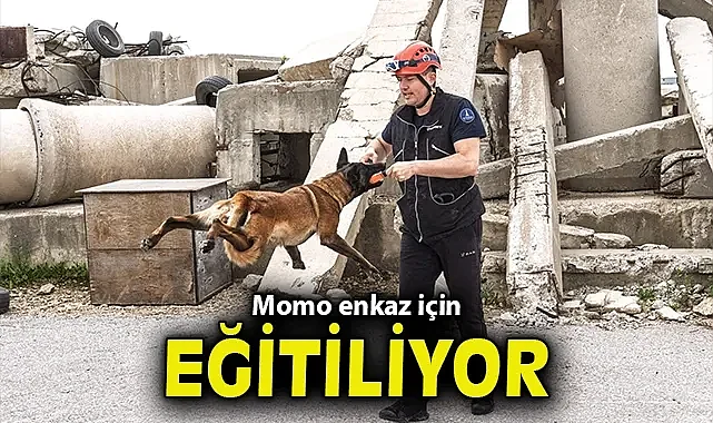 Momo enkaz için eğitiliyor