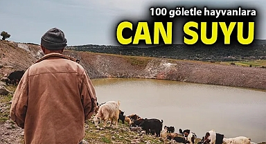 100 göletle hayvanlara can suyu