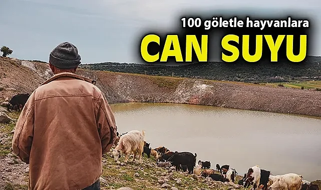 100 göletle hayvanlara can suyu