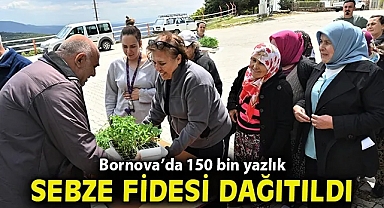 150 bin yazlık sebze fidesi dağıtıldı
